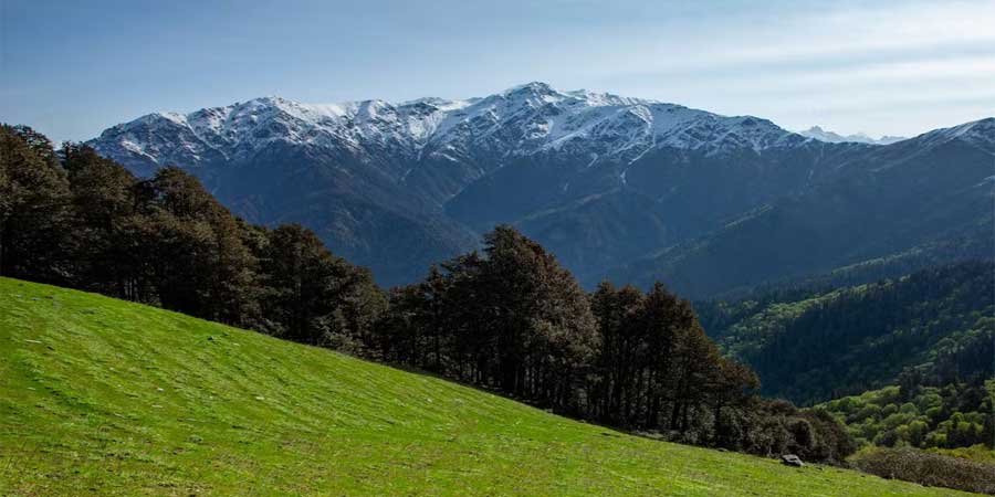 Belpata Top Chechani Pass Trek