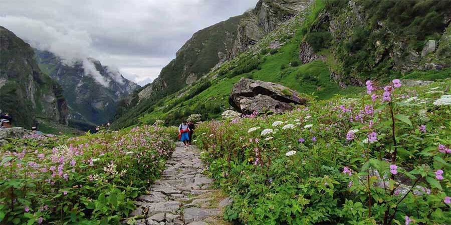 Valley of Flowers Trek