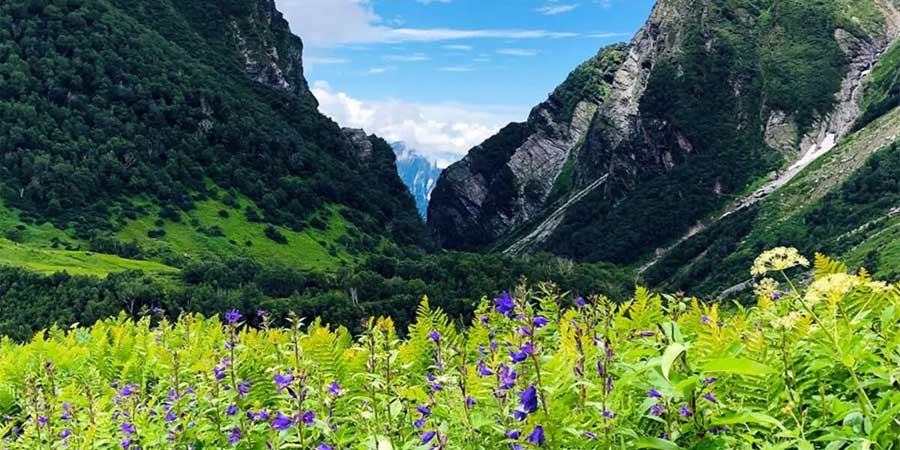 Valley of Flowers Trek