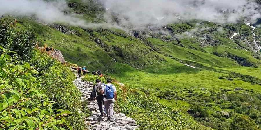Valley of Flowers Trek