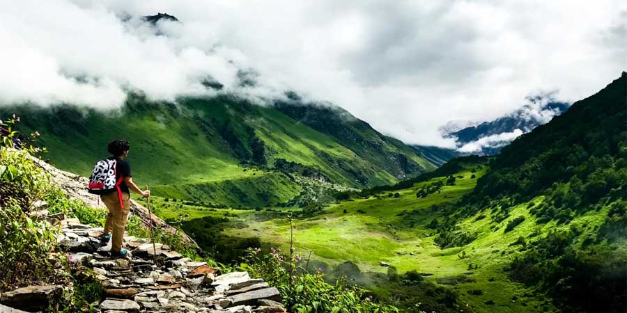 Valley of Flowers Trek
